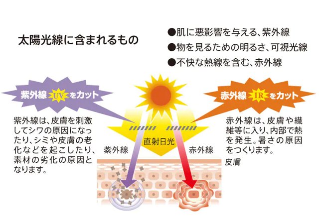 太陽光線の説明